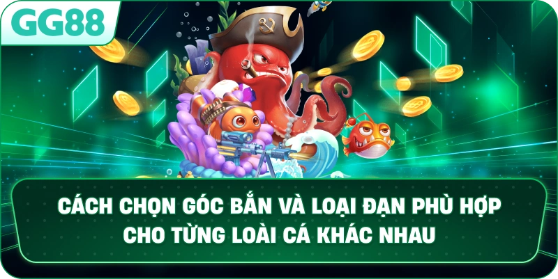 Cách chọn góc bắn và loại đạn phù hợp cho từng loài cá khác nhau.